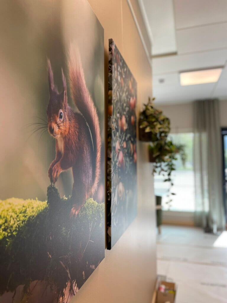 Palveluasuminen ja ympärivuorokautinen hoiva