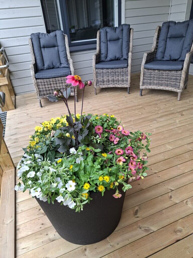 Palveluasuminen ja ympärivuorokautinen hoiva
