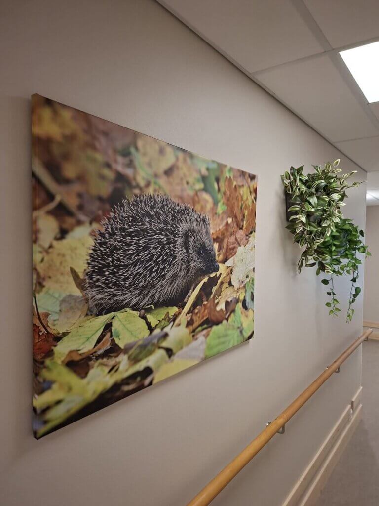 Hoivakoti Järvenpää Jampankulma
